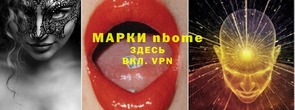 индика Осташков