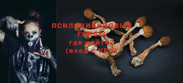 индика Осташков